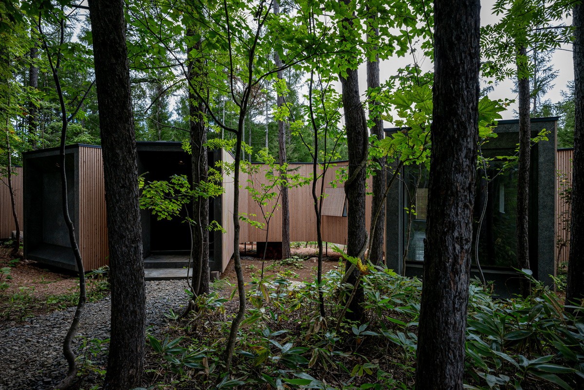 BIM建筑|北海道森林小屋,延伸的“触角” / Florian Busch Architects BIM建筑|北海道森林小屋,延伸的“触角” / Florian Busch Architects
