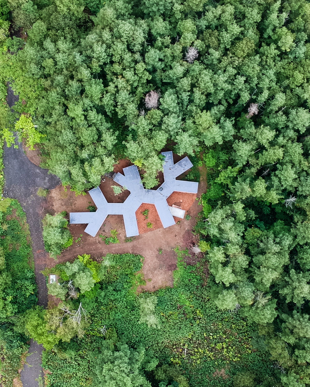 BIM建筑|北海道森林小屋,延伸的“触角” / Florian Busch Architects BIM建筑|北海道森林小屋,延伸的“触角” / Florian Busch Architects