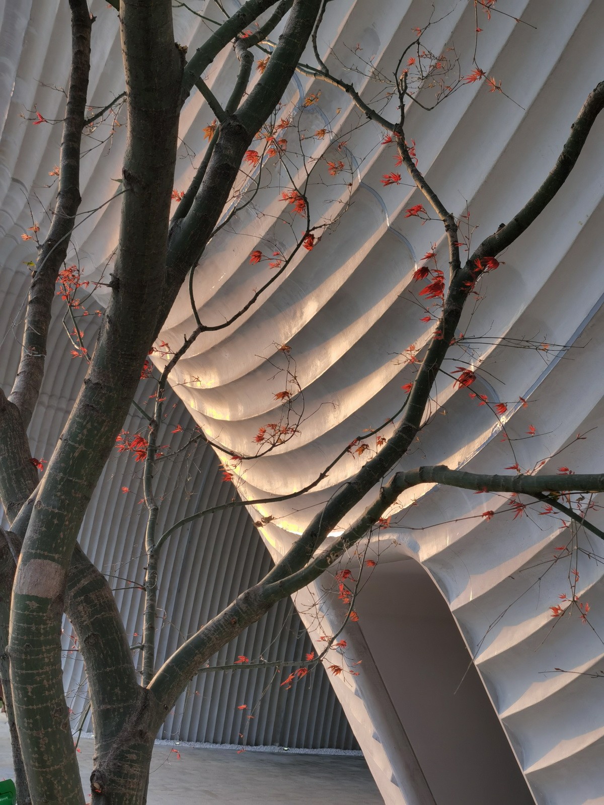 BIM建筑|漂浮之门——西安沣东新城莱安社区中心 / EID Architecture BIM建筑|漂浮之门——西安沣东新城莱安社区中心 / EID Architecture