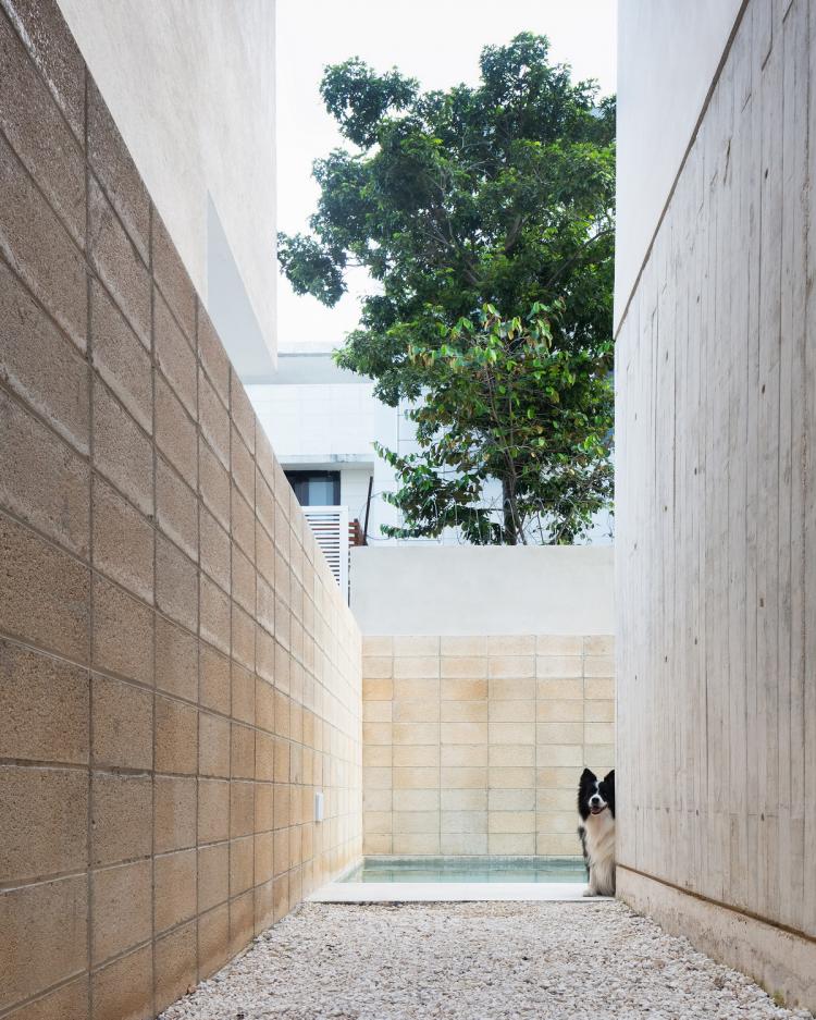 BIM建筑|Risch住宅,墨西哥 / Kiltro Polaris Arquitectura BIM建筑|Risch住宅,墨西哥 / Kiltro Polaris Arquitectura