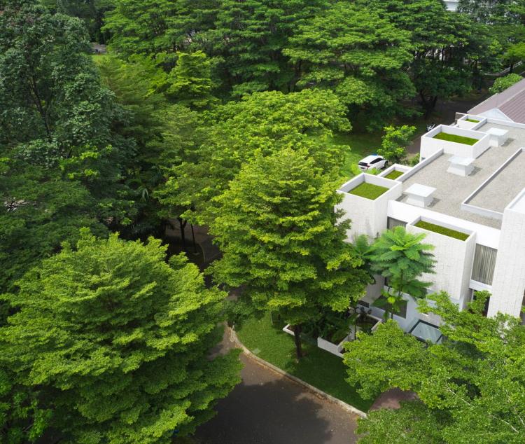 BIM建筑|印尼自然采光实验性住宅 / RAD+ar BIM建筑|印尼自然采光实验性住宅 / RAD+ar