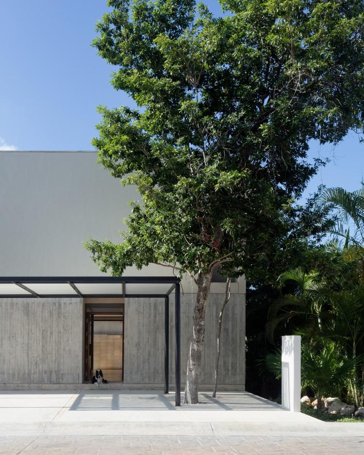 BIM建筑|Risch住宅,墨西哥 / Kiltro Polaris Arquitectura BIM建筑|Risch住宅,墨西哥 / Kiltro Polaris Arquitectura