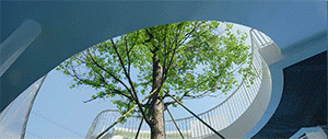 BIM建筑|圣果(誉山国际)幼儿园 / 迪卡幼儿园设计中心 BIM建筑|圣果(誉山国际)幼儿园 / 迪卡幼儿园设计中心