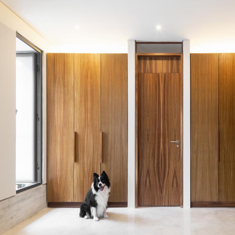 BIM建筑|Risch住宅,墨西哥 / Kiltro Polaris Arquitectura BIM建筑|Risch住宅,墨西哥 / Kiltro Polaris Arquitectura