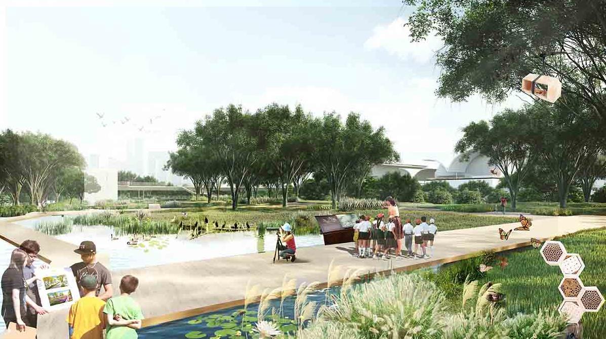 BIM建筑|中标方案 - 深圳红树林湿地博物馆项目国际竞赛 / 迹·建筑事务所(TAO)+AECOM BIM建筑|中标方案 - 深圳红树林湿地博物馆项目国际竞赛 / 迹·建筑事务所(TAO)+AECOM