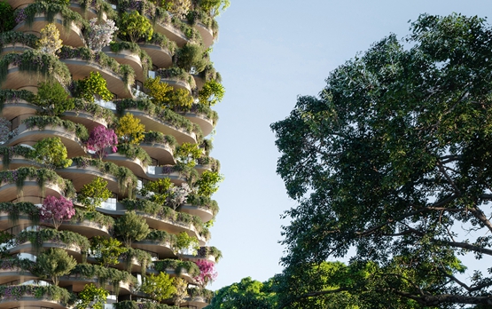 BIM建筑|高田浩一在布里斯班推出覆盖植物的高层住宅 BIM建筑|高田浩一在布里斯班推出覆盖植物的高层住宅