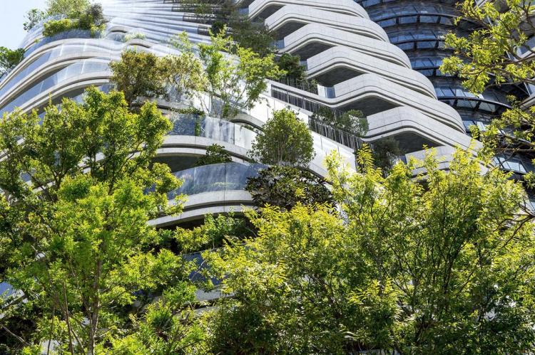BIM建筑|陶朱隐园,反全球变暖+低碳生态住宅 / Vincent Callebaut Architectures BIM建筑|陶朱隐园,反全球变暖+低碳生态住宅 / Vincent Callebaut Architectures