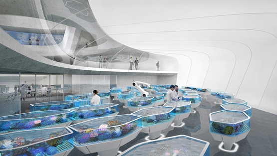 BIM建筑|康特雷拉斯-厄尔设计“生存方舟”保护珊瑚礁 BIM视界 第5张-BIM建筑网 BIM建筑|康特雷拉斯-厄尔设计“生存方舟”保护珊瑚礁 BIM视界 第5张