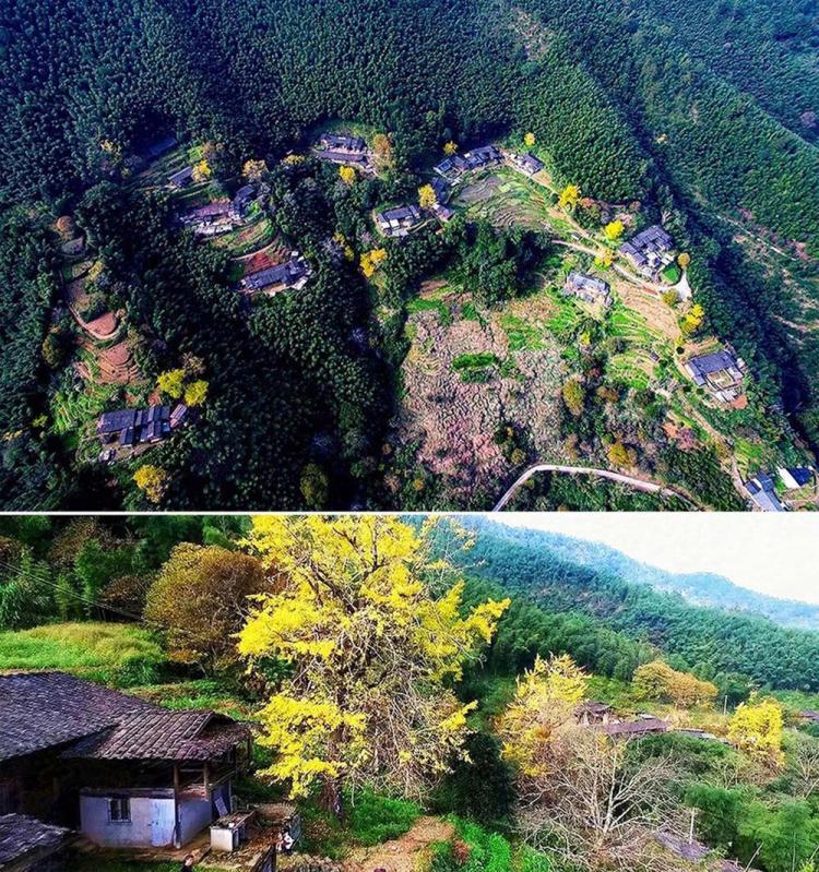 BIM建筑|古杏山舍民宿 / 厦门泛华·回应建筑工作室 建筑鉴赏 第2张-BIM建筑网 BIM建筑|古杏山舍民宿 / 厦门泛华·回应建筑工作室 建筑鉴赏 第2张