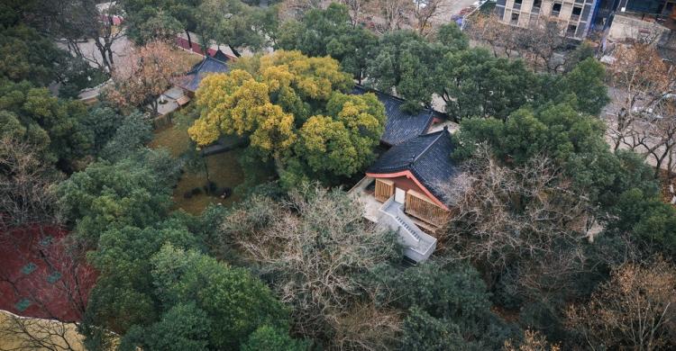 BIM建筑|南昌市八一公园梁书美术馆改造/XAA建筑事务所 BIM建筑|南昌市八一公园梁书美术馆改造/XAA建筑事务所