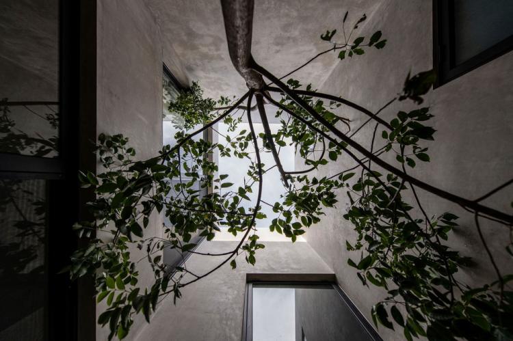 BIM建筑|天堂小屋 Empírea House/TACO taller de arquitectura contextual BIM建筑|天堂小屋 Empírea House/TACO taller de arquitectura contextual