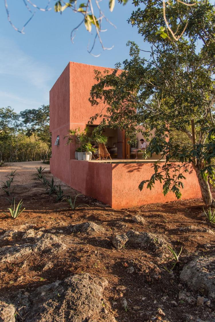 BIM建筑|墨西哥纸牌屋/TACO taller de arquitectura contextual BIM建筑|墨西哥纸牌屋/TACO taller de arquitectura contextual