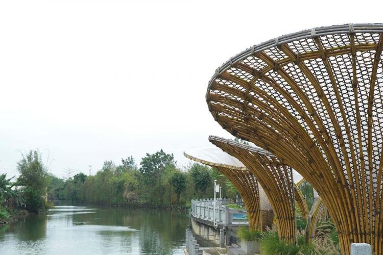 BIM建筑|黄龙滨水竹廊 / 竖梁社 + 华南理工大学建筑学院 建筑鉴赏 第7张-BIM建筑网 BIM建筑|黄龙滨水竹廊 / 竖梁社 + 华南理工大学建筑学院 建筑鉴赏 第7张