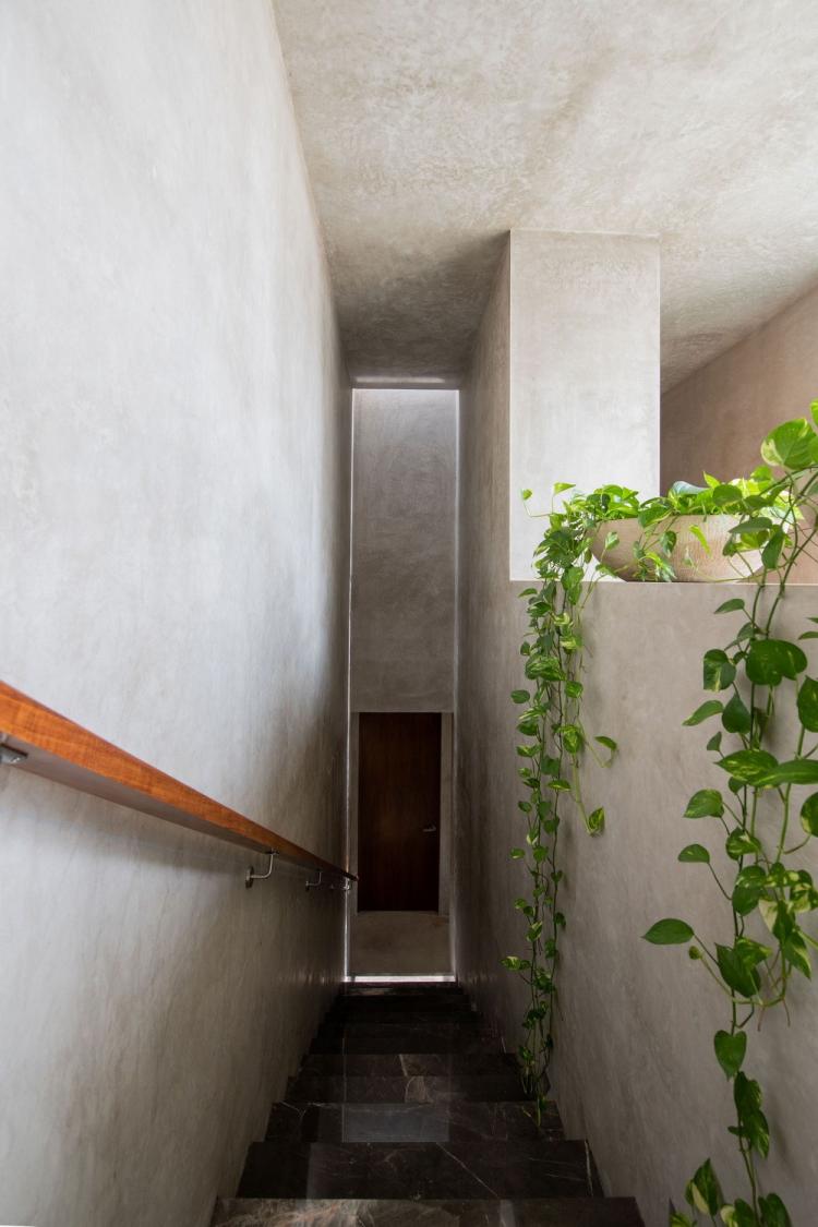 BIM建筑|天堂小屋 Empírea House/TACO taller de arquitectura contextual BIM建筑|天堂小屋 Empírea House/TACO taller de arquitectura contextual