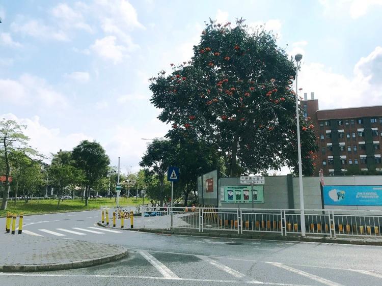 BIM建筑|苔园盆景:深圳湾第一幼儿园 / 深圳天华 建筑鉴赏 第10张-BIM建筑网 BIM建筑|苔园盆景:深圳湾第一幼儿园 / 深圳天华 建筑鉴赏 第10张