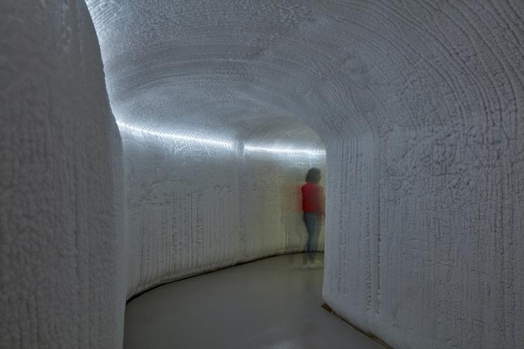 BIM建筑|蒙特利尔圆顶生物科学博物馆 / Kanva 建筑鉴赏 第28张-BIM建筑网 BIM建筑|蒙特利尔圆顶生物科学博物馆 / Kanva 建筑鉴赏 第28张