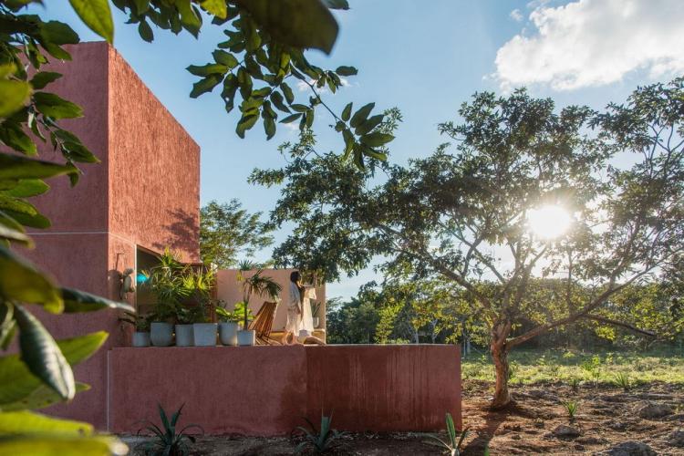 BIM建筑|墨西哥纸牌屋/TACO taller de arquitectura contextual BIM建筑|墨西哥纸牌屋/TACO taller de arquitectura contextual
