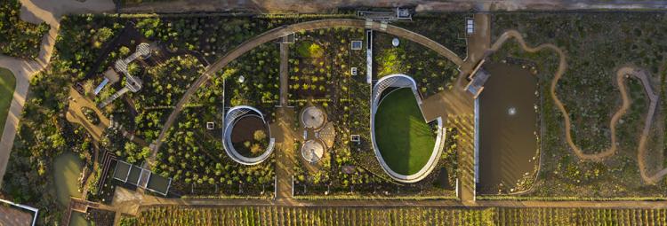 BIM建筑|环形步道,南非花园咖啡店 建筑鉴赏 第2张-BIM建筑网 BIM建筑|环形步道,南非花园咖啡店 建筑鉴赏 第2张