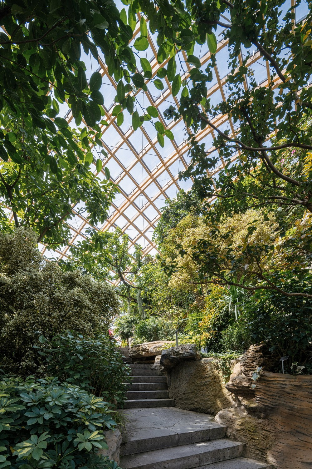 BIM建筑|山西太原穹顶植物园/DMAA BIM建筑|山西太原穹顶植物园/DMAA