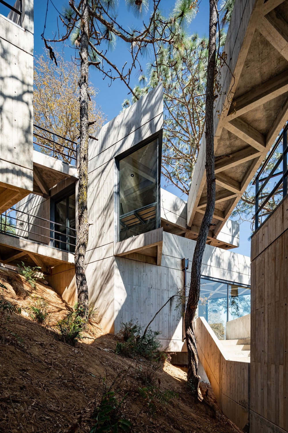 BIM建筑|体块的协奏曲:墨西哥蚕园/LAMZ Arquitectura BIM建筑|体块的协奏曲:墨西哥蚕园/LAMZ Arquitectura