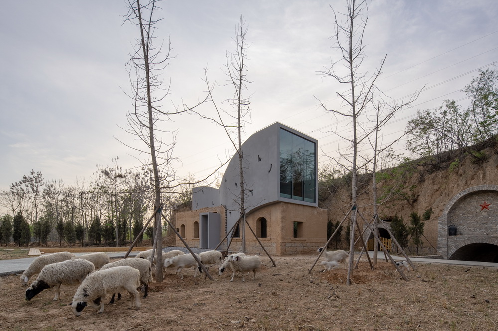 BIM建筑|微建筑系列 II – 废墟书屋/一树建筑 BIM建筑|微建筑系列 II – 废墟书屋/一树建筑