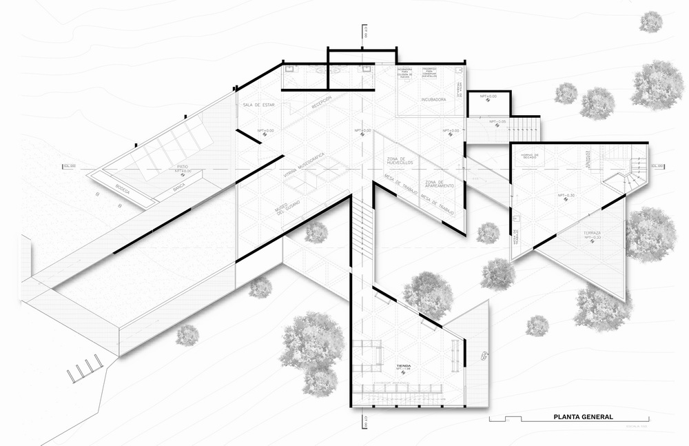 BIM建筑|体块的协奏曲:墨西哥蚕园/LAMZ Arquitectura BIM建筑|体块的协奏曲:墨西哥蚕园/LAMZ Arquitectura
