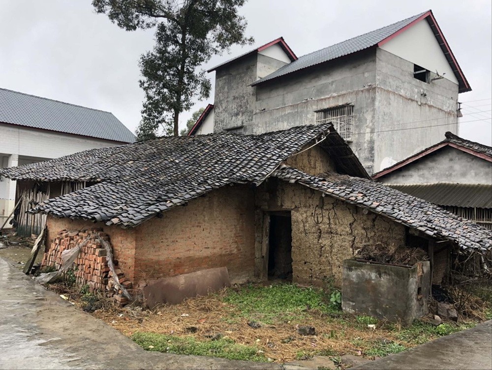BIM建筑|成都金堂圆觉寺村村民中心 / 在行建筑 BIM建筑|成都金堂圆觉寺村村民中心 / 在行建筑