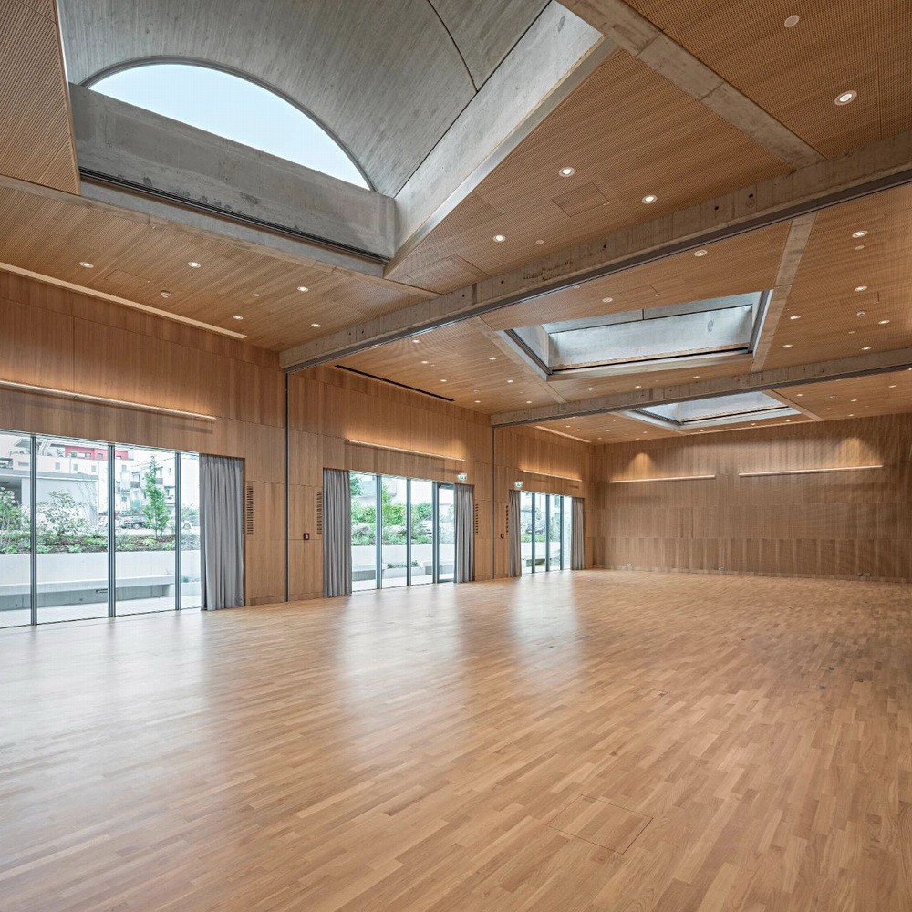 BIM建筑|奥地利罗仙姆酒店扩建/斯蒂文·霍尔事务所 BIM建筑|奥地利罗仙姆酒店扩建/斯蒂文·霍尔事务所