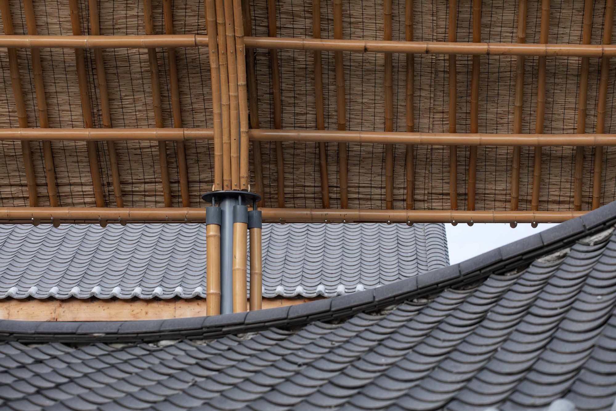 BIM建筑|成都金堂圆觉寺村村民中心 / 在行建筑 BIM建筑|成都金堂圆觉寺村村民中心 / 在行建筑