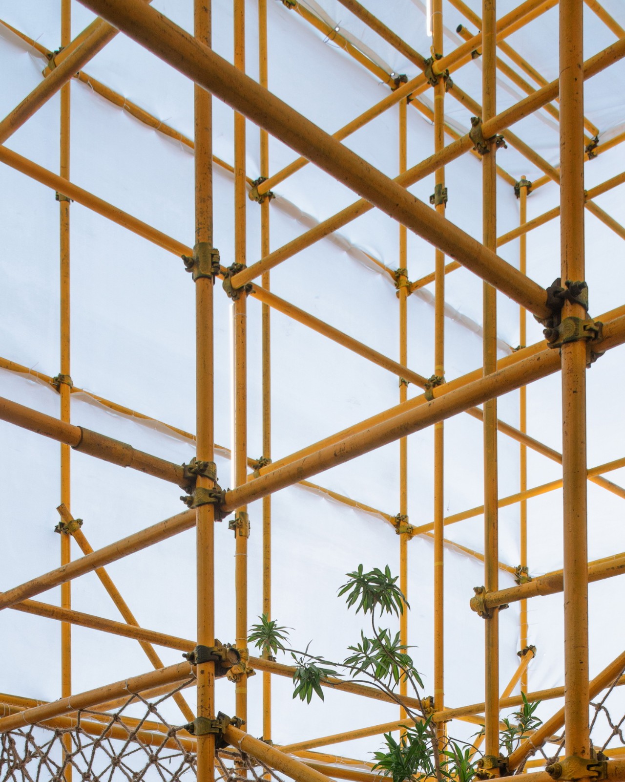 BIM建筑|晃神儿空间—阿那亚戏剧节“候鸟300”海滩临时美术馆/合木建筑工作室 BIM建筑|晃神儿空间—阿那亚戏剧节“候鸟300”海滩临时美术馆/合木建筑工作室