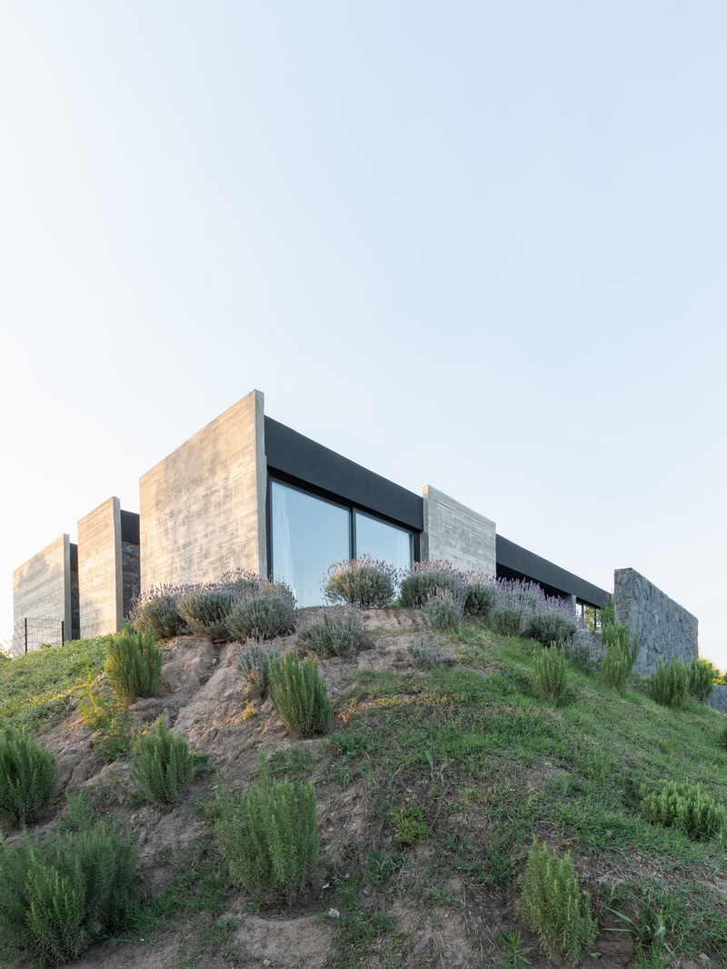 BIM建筑|Mono 住宅 / Patio Estudio BIM建筑|Mono 住宅 / Patio Estudio