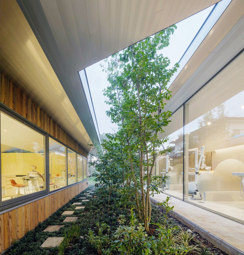 BIM建筑|林中牙医诊所 / Takashige Yamashita Office BIM建筑|林中牙医诊所 / Takashige Yamashita Office