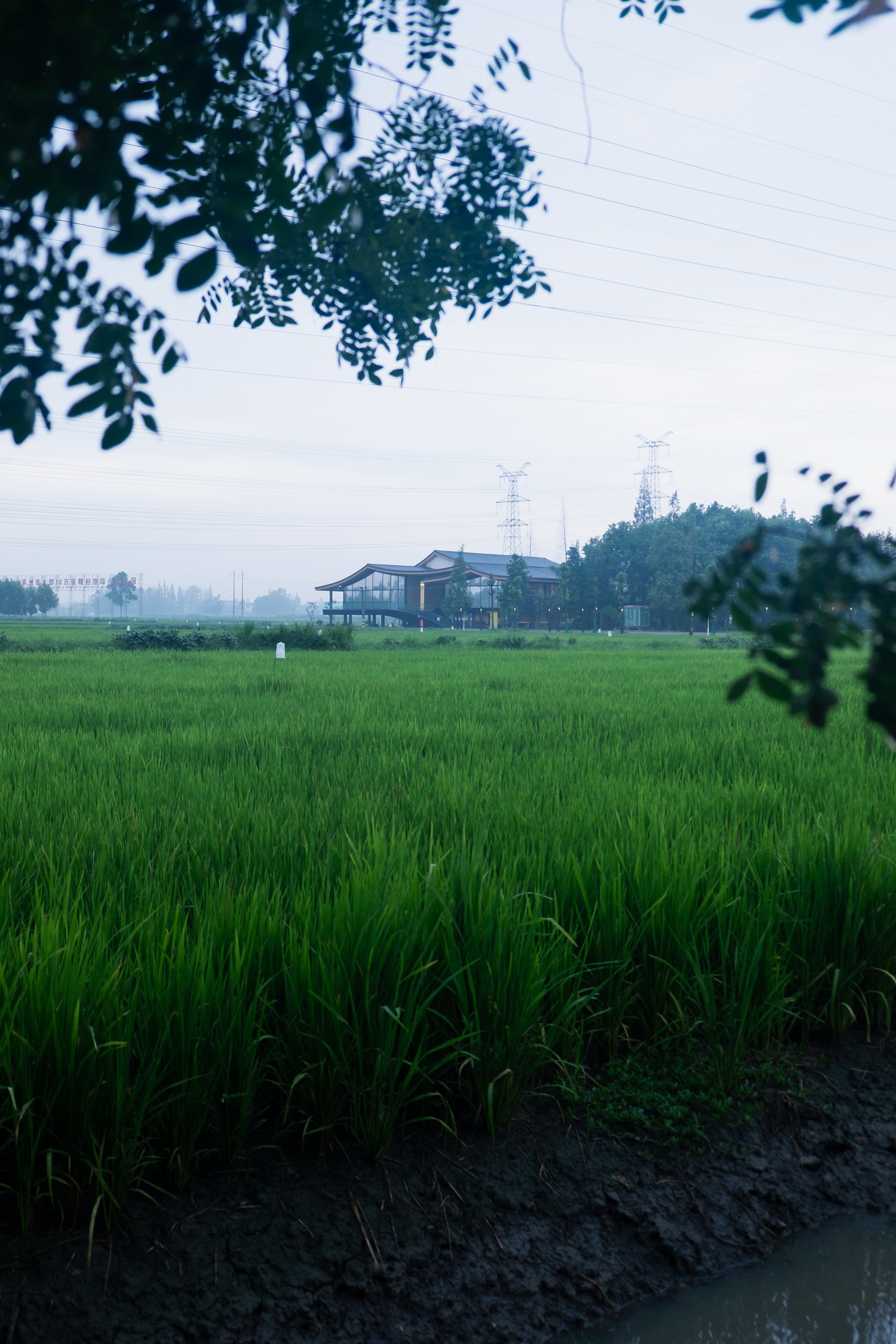 BIM建筑|最好的粮油在田间——耕田上的院子,村落中的乐园/小隐建筑事务所 BIM建筑|最好的粮油在田间——耕田上的院子,村落中的乐园/小隐建筑事务所