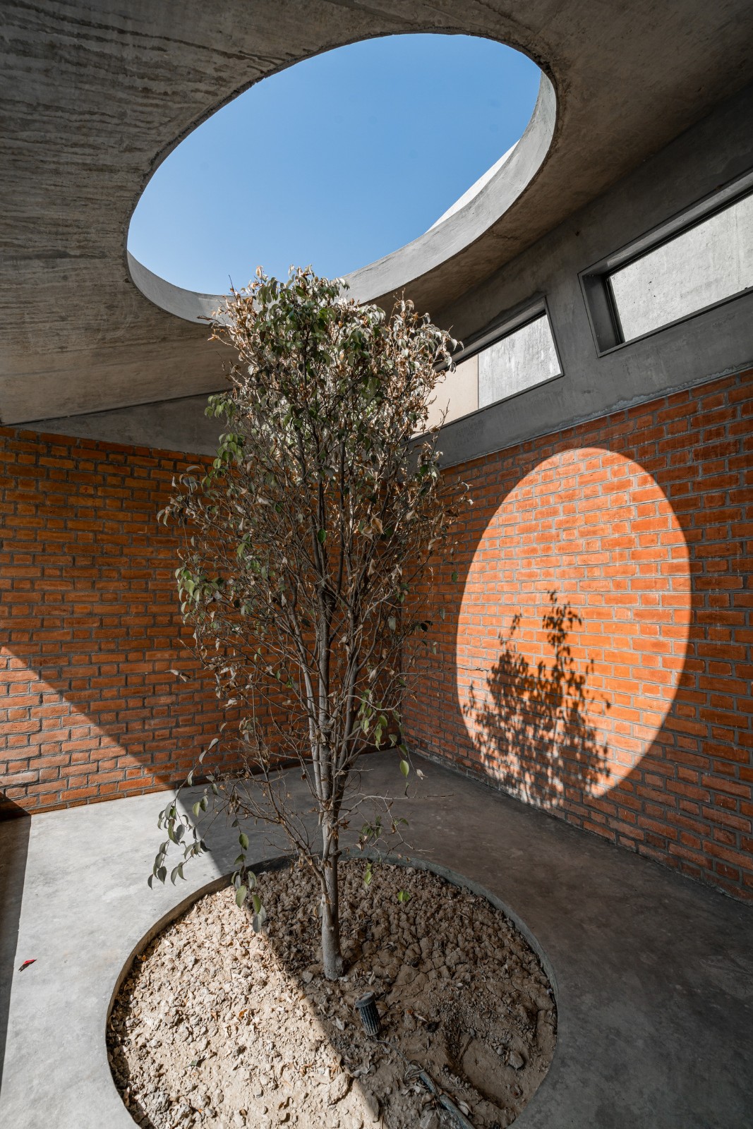 BIM建筑| 双湾之家 / MISA ARCHITECTS BIM建筑| 双湾之家 / MISA ARCHITECTS