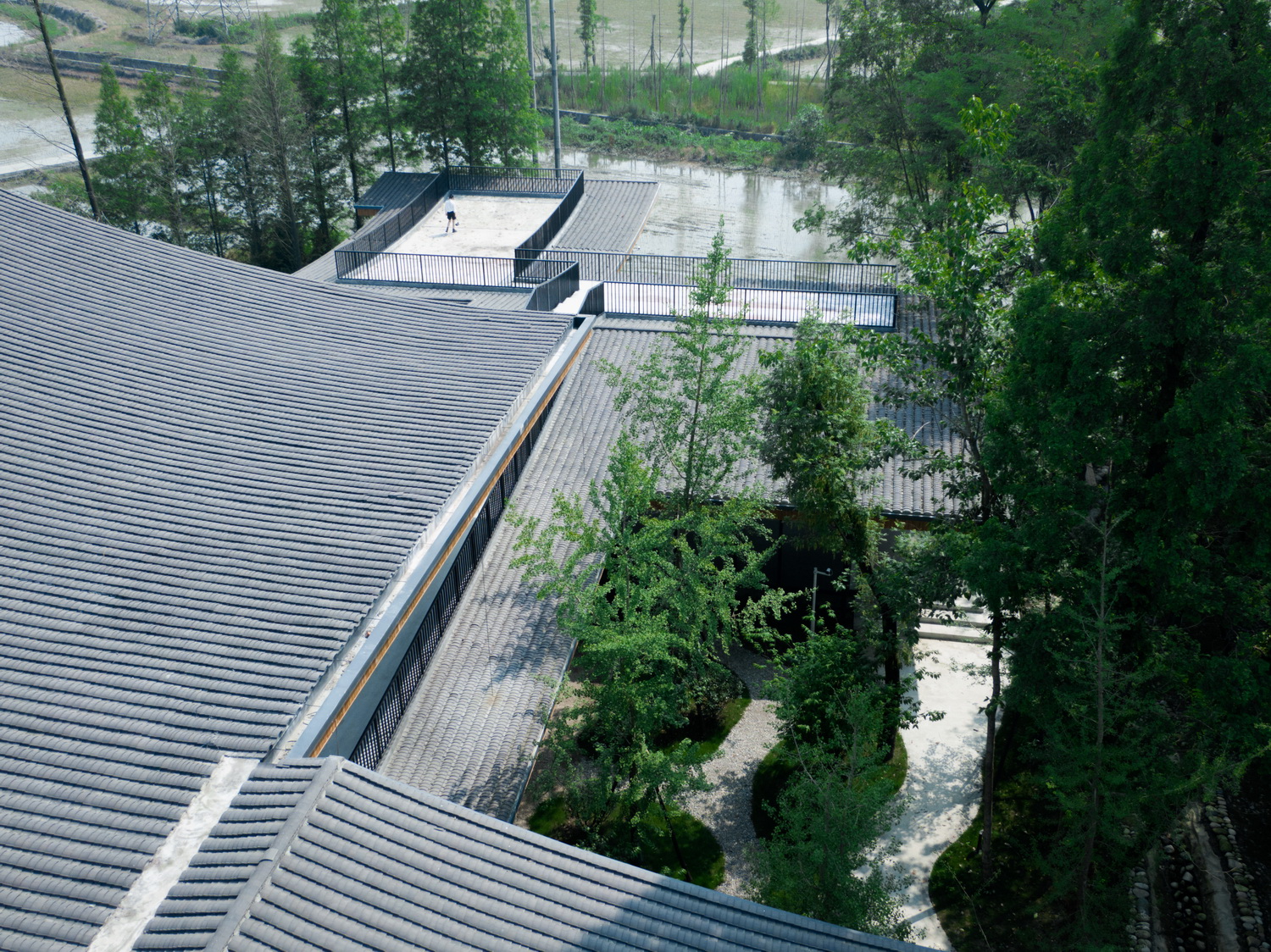 BIM建筑|最好的粮油在田间——耕田上的院子,村落中的乐园/小隐建筑事务所 BIM建筑|最好的粮油在田间——耕田上的院子,村落中的乐园/小隐建筑事务所