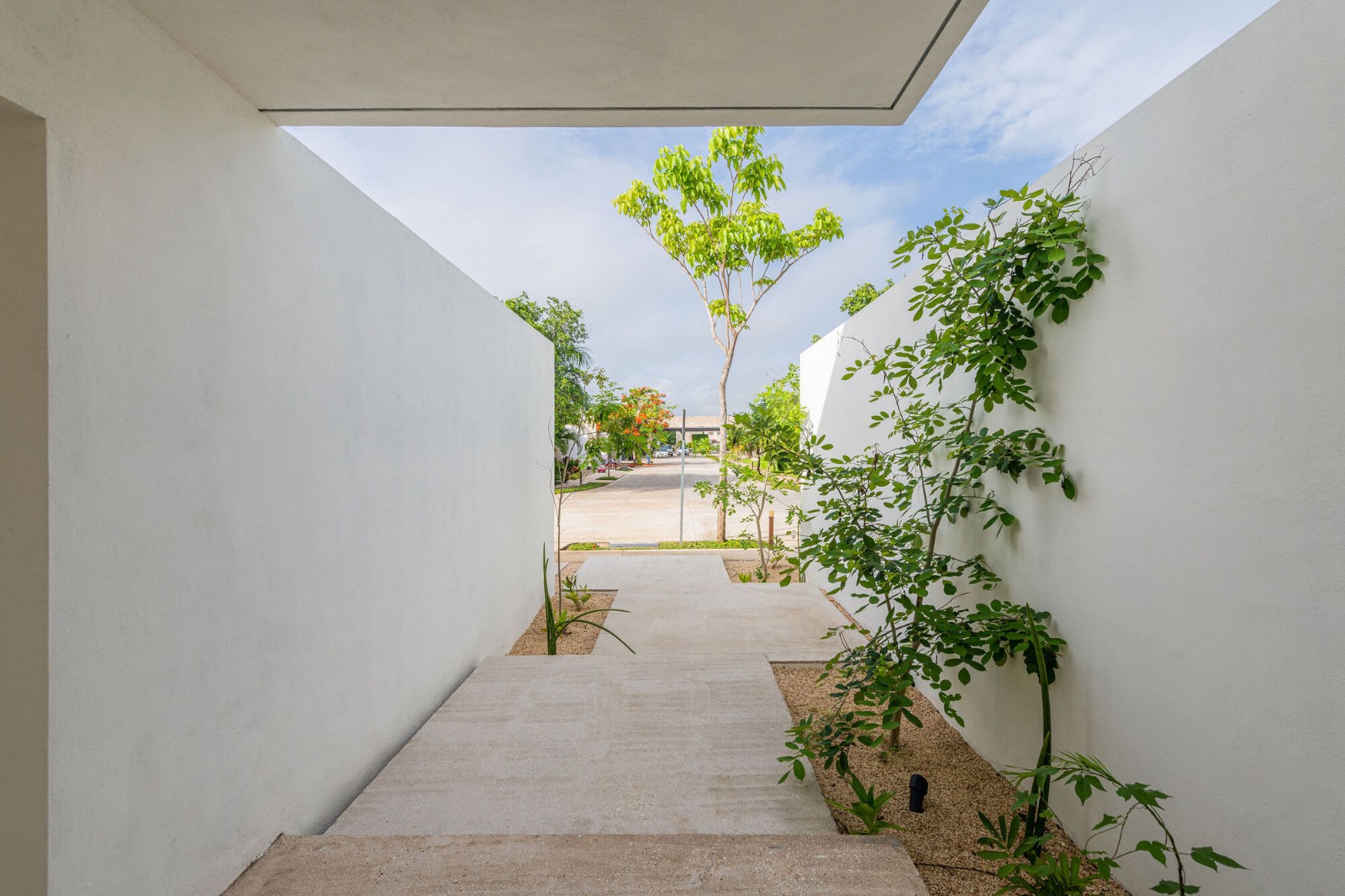 BIM建筑|那萨克之家 / TACO taller de arquitectura contextual BIM建筑|那萨克之家 / TACO taller de arquitectura contextual