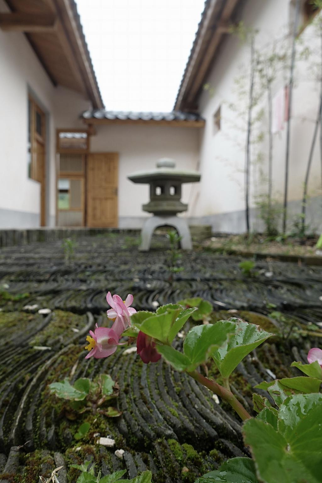 BIM建筑|山禅水定——大和禅院扩建设计 / 上海善祥建筑 BIM建筑|山禅水定——大和禅院扩建设计 / 上海善祥建筑