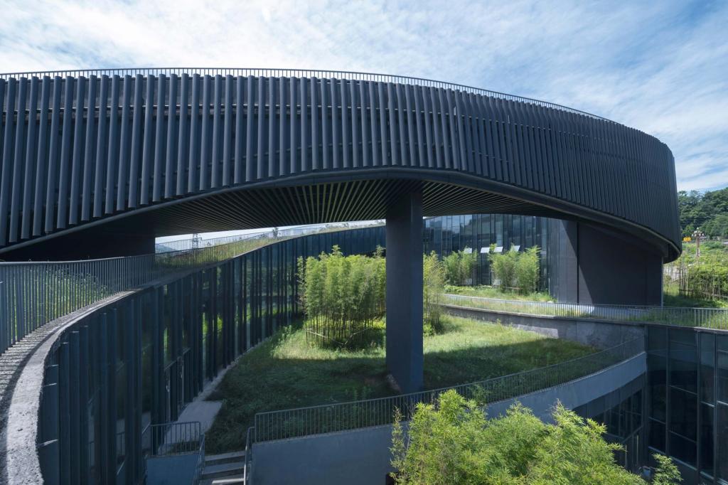 BIM建筑|大熊猫国家公园雅安科普教育中心 / 中国建筑西南设计研究院 BIM建筑|大熊猫国家公园雅安科普教育中心 / 中国建筑西南设计研究院