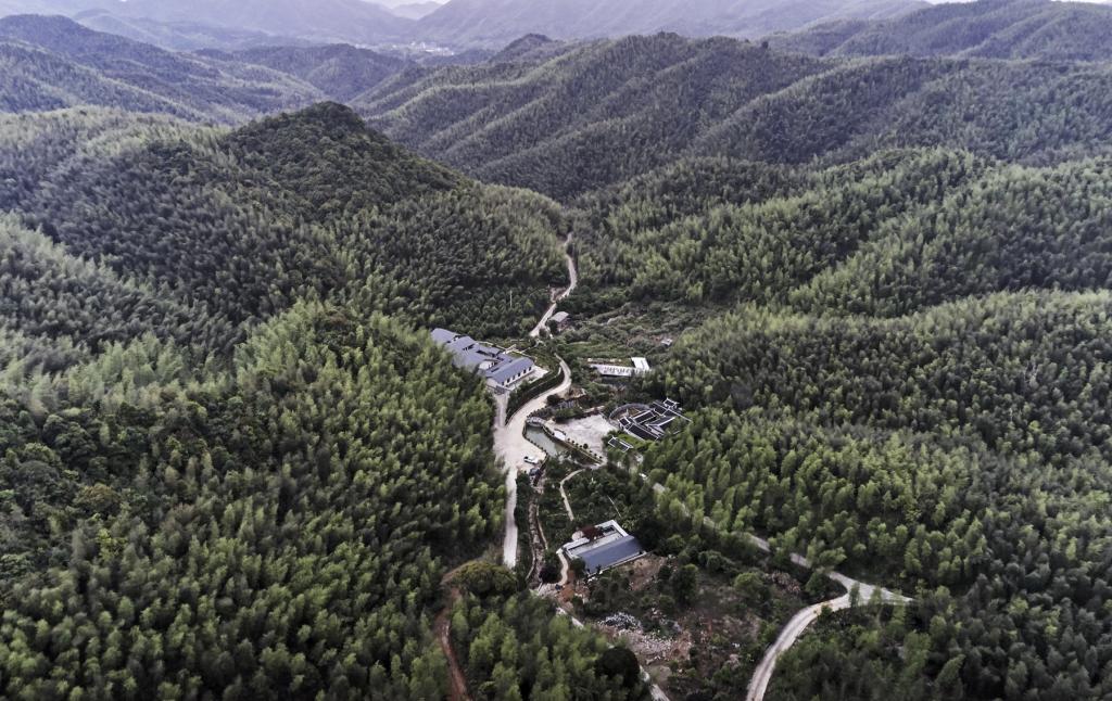 BIM建筑|山禅水定——大和禅院扩建设计 / 上海善祥建筑 BIM建筑|山禅水定——大和禅院扩建设计 / 上海善祥建筑