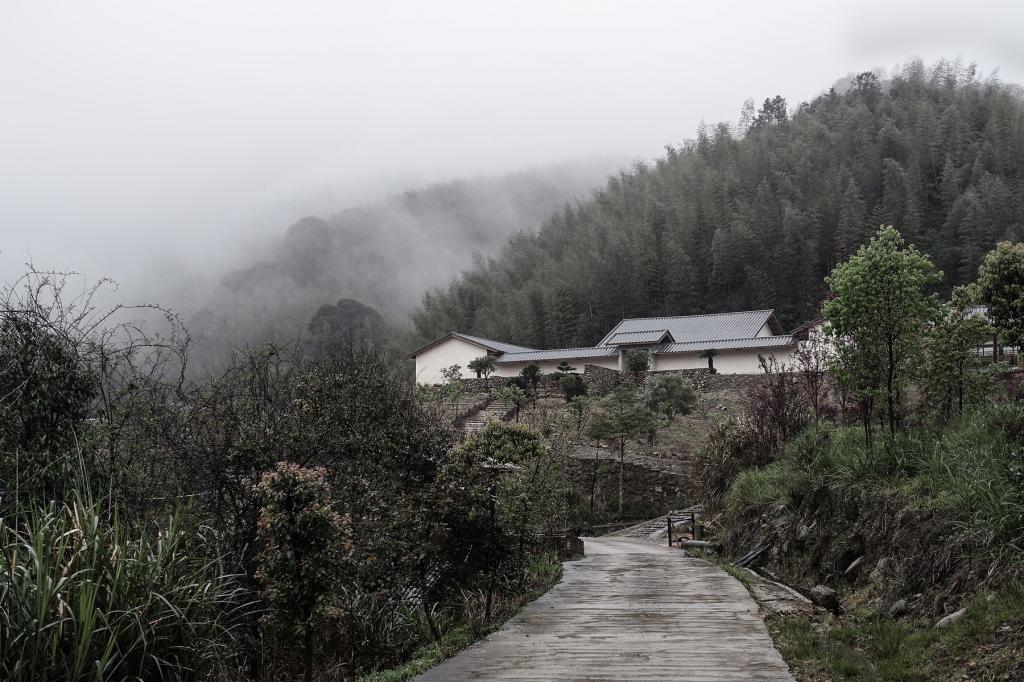 BIM建筑|山禅水定——大和禅院扩建设计 / 上海善祥建筑 BIM建筑|山禅水定——大和禅院扩建设计 / 上海善祥建筑