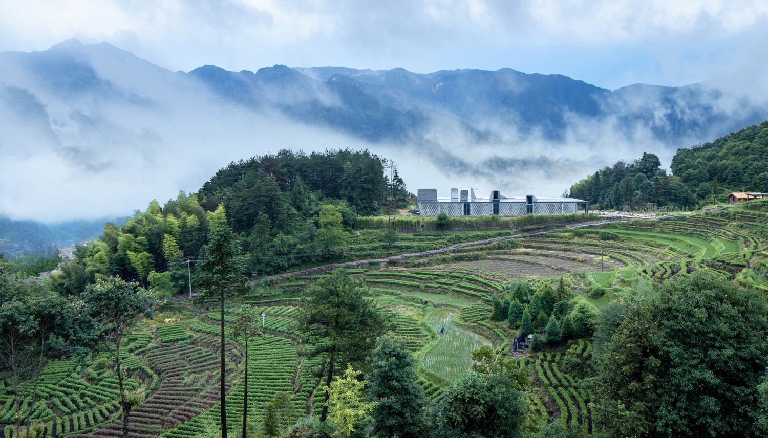 BIM建筑|景宁惠明茶工坊/ DnA_Design and Architecture BIM建筑|景宁惠明茶工坊/ DnA_Design and Architecture