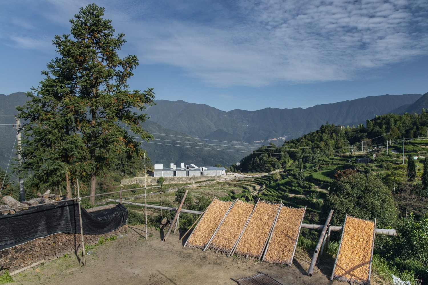 BIM建筑|景宁惠明茶工坊/ DnA_Design and Architecture BIM建筑|景宁惠明茶工坊/ DnA_Design and Architecture