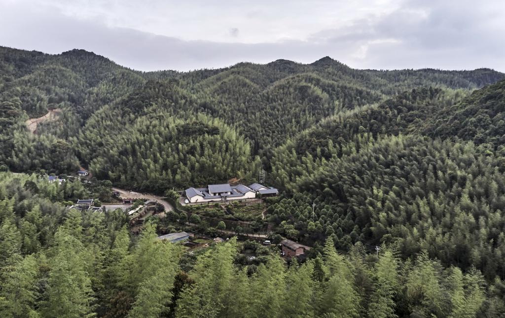 BIM建筑|山禅水定——大和禅院扩建设计 / 上海善祥建筑 BIM建筑|山禅水定——大和禅院扩建设计 / 上海善祥建筑