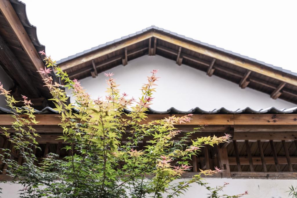 BIM建筑|山禅水定——大和禅院扩建设计 / 上海善祥建筑 BIM建筑|山禅水定——大和禅院扩建设计 / 上海善祥建筑