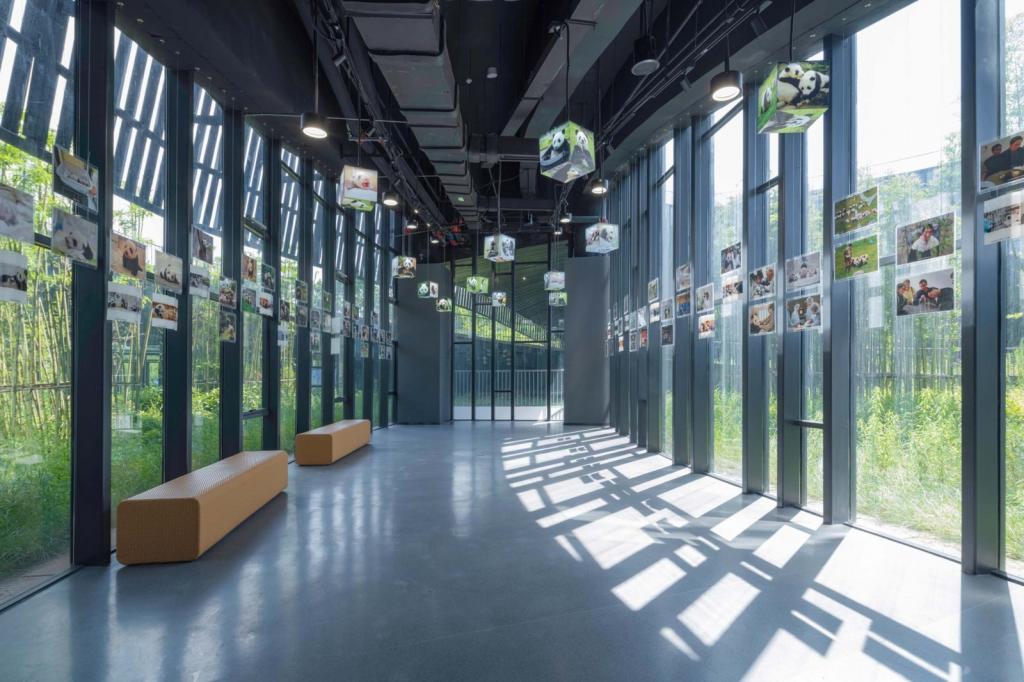 BIM建筑|大熊猫国家公园雅安科普教育中心 / 中国建筑西南设计研究院 BIM建筑|大熊猫国家公园雅安科普教育中心 / 中国建筑西南设计研究院