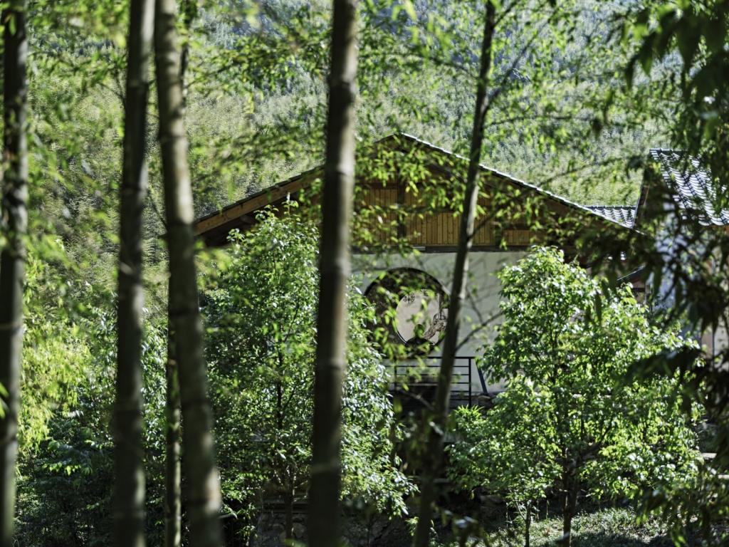 BIM建筑|山禅水定——大和禅院扩建设计 / 上海善祥建筑 BIM建筑|山禅水定——大和禅院扩建设计 / 上海善祥建筑