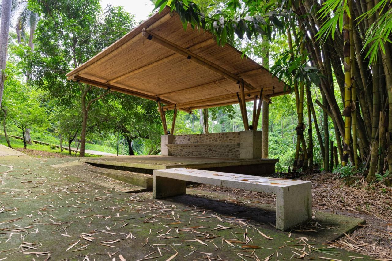 BIM建筑|墨西哥塔帕丘拉社会援助中心 / Laboratorio de Acupuntura Urbana BIM建筑|墨西哥塔帕丘拉社会援助中心 / Laboratorio de Acupuntura Urbana
