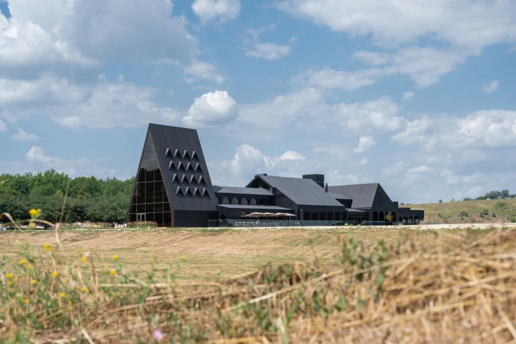 BIM建筑|库代克山公园游客接待中心 / Megabudka Architecture Bureau BIM建筑|库代克山公园游客接待中心 / Megabudka Architecture Bureau