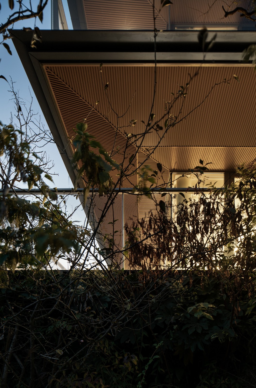 BIM建筑|自土地中生长——莫干山郡安里 / gad BIM建筑|自土地中生长——莫干山郡安里 / gad