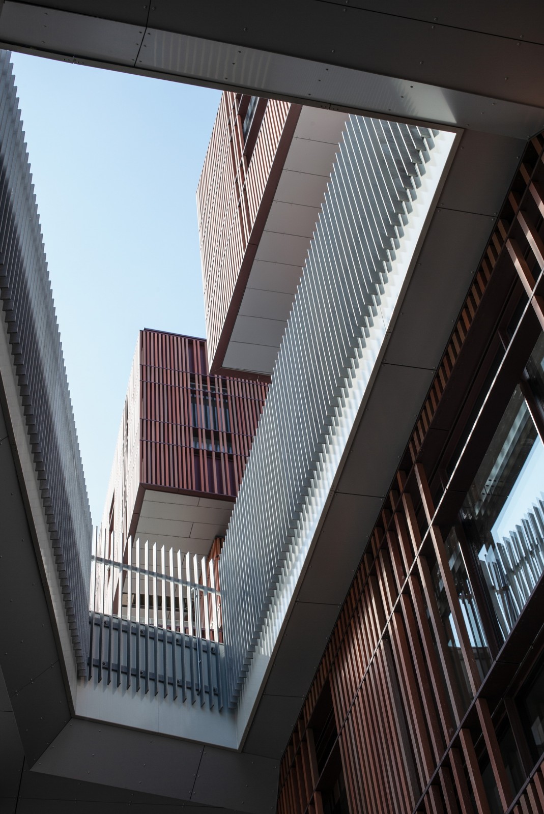BIM建筑|Mercantec Midtbyens 体育馆 / Cubo 建筑事务所 BIM建筑|Mercantec Midtbyens 体育馆 / Cubo 建筑事务所